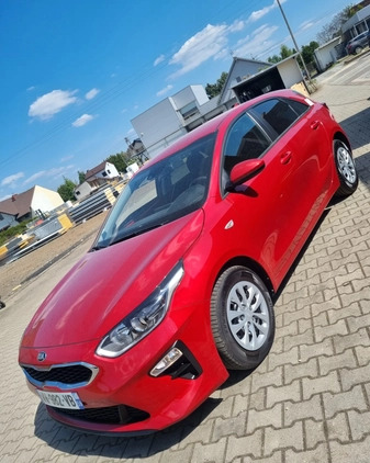 Kia Ceed cena 49900 przebieg: 11000, rok produkcji 2021 z Mikołów małe 781